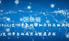 关于988pay支付平台的详细介绍及相关问题分析9
